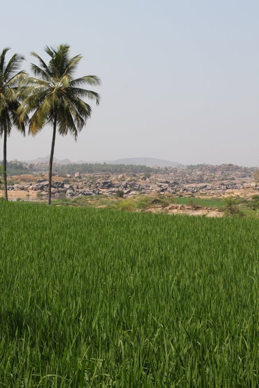 India 2010 - Hampi - Virupapur Gaddi